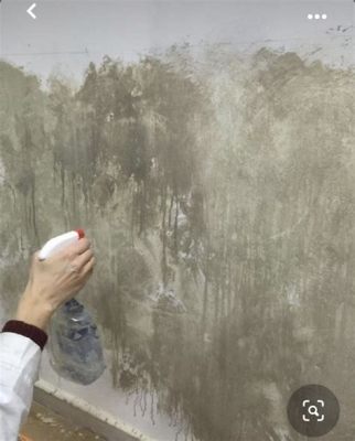 How to Paint Old Plaster Walls: A Comprehensive Guide with Multiple Perspectives